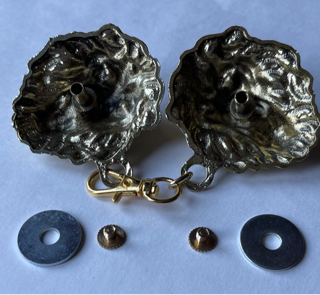 Cloak Clasps - Large Lion Cloak Clasp with chain Silver or Gold